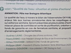 Article 4.2